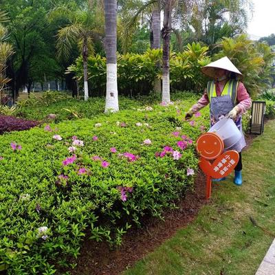 贵港市城区各公园积极开展春季绿化养护工作